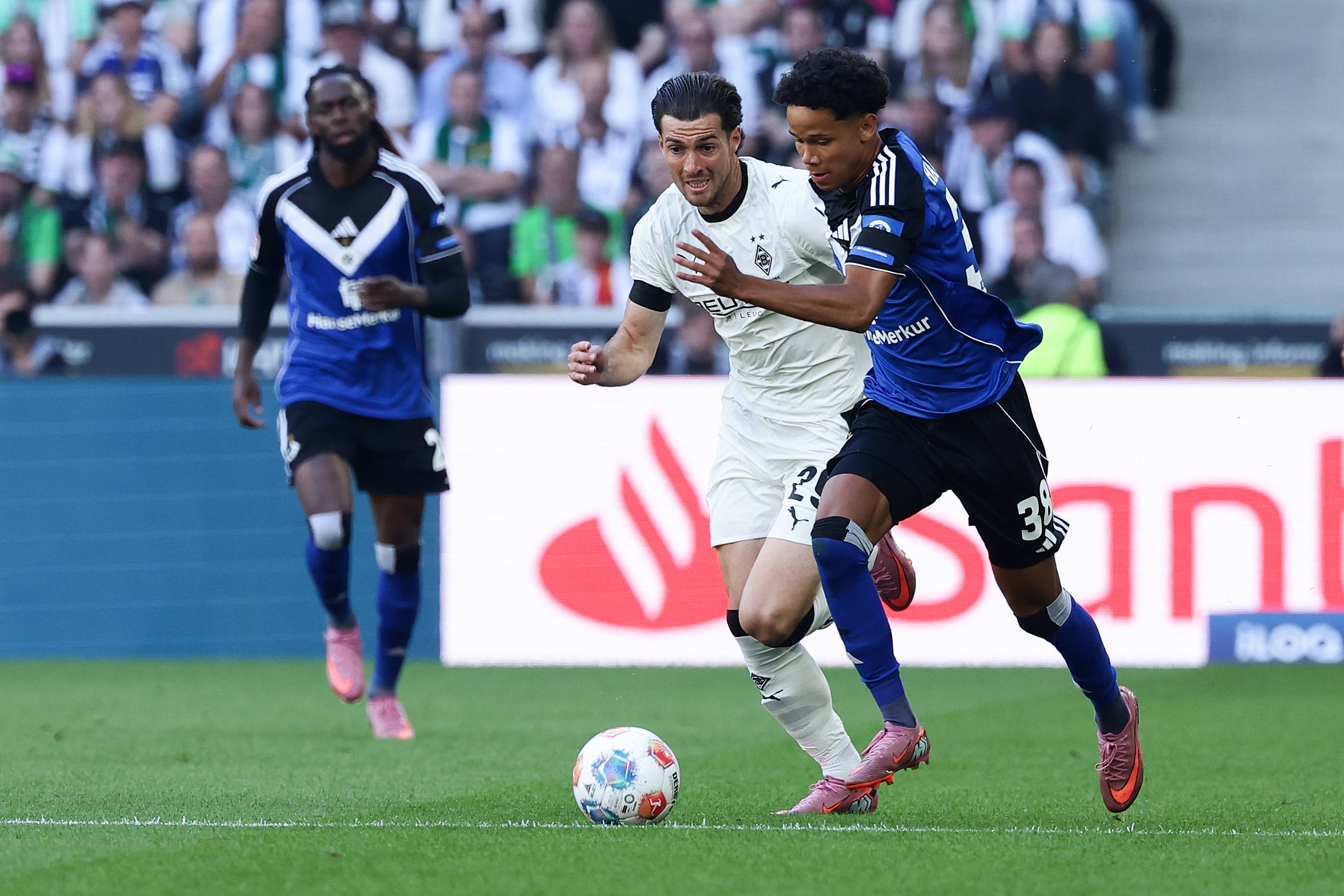 aoa体育馆-汉堡队重回德甲比赛舞台，备受关注